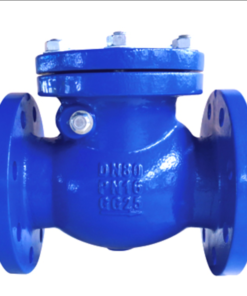 BS Standard BS5153 Swing Check Valve