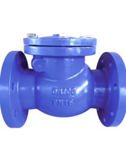 DIN Standard DIN3202-F6 Swing Check Valve