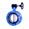 Concentric Flanged Butterfly Valve